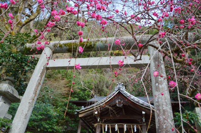 大豊神社の概要